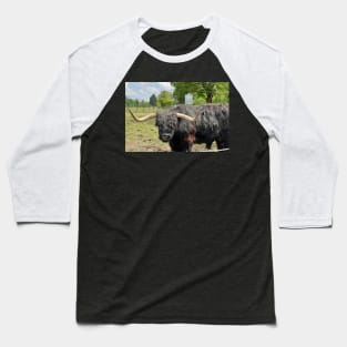 Highland cow in Scotland Baseball T-Shirt